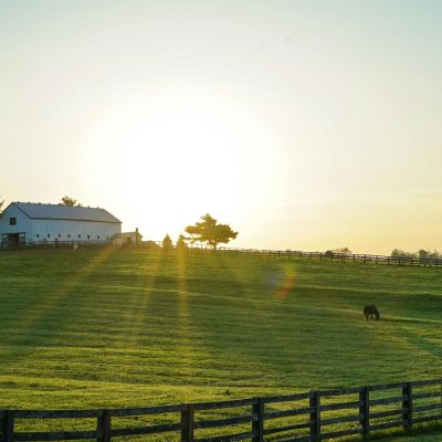 pexels photo 2042161 2042161 Beautiful sunrise illuminating a peaceful Kentucky farm with lush green pastures and grazing horses.